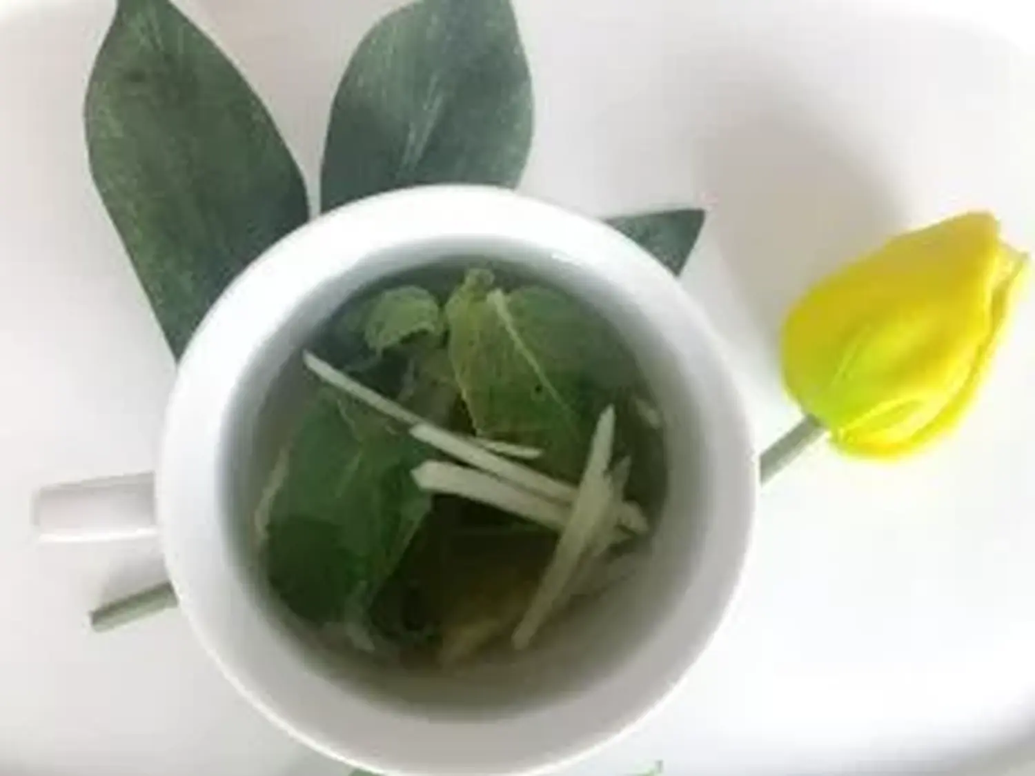 Hausgemachter Heisser Ingwer Tee Von Vital Thai Massage & Spa